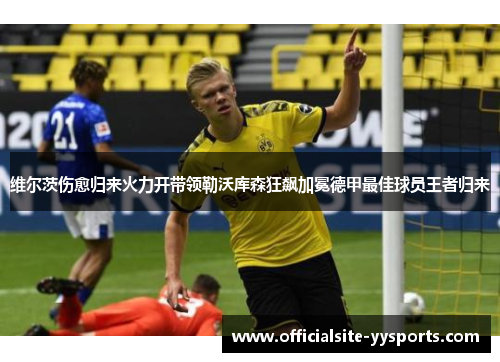 维尔茨伤愈归来火力开带领勒沃库森狂飙加冕德甲最佳球员王者归来 维尔茨伤愈归来火力开带领勒沃库森狂飙加冕德甲最佳球员王者归来